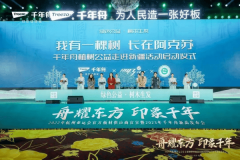 <strong>深度结构邳州、日照、郯城、临沂、仁和</strong>